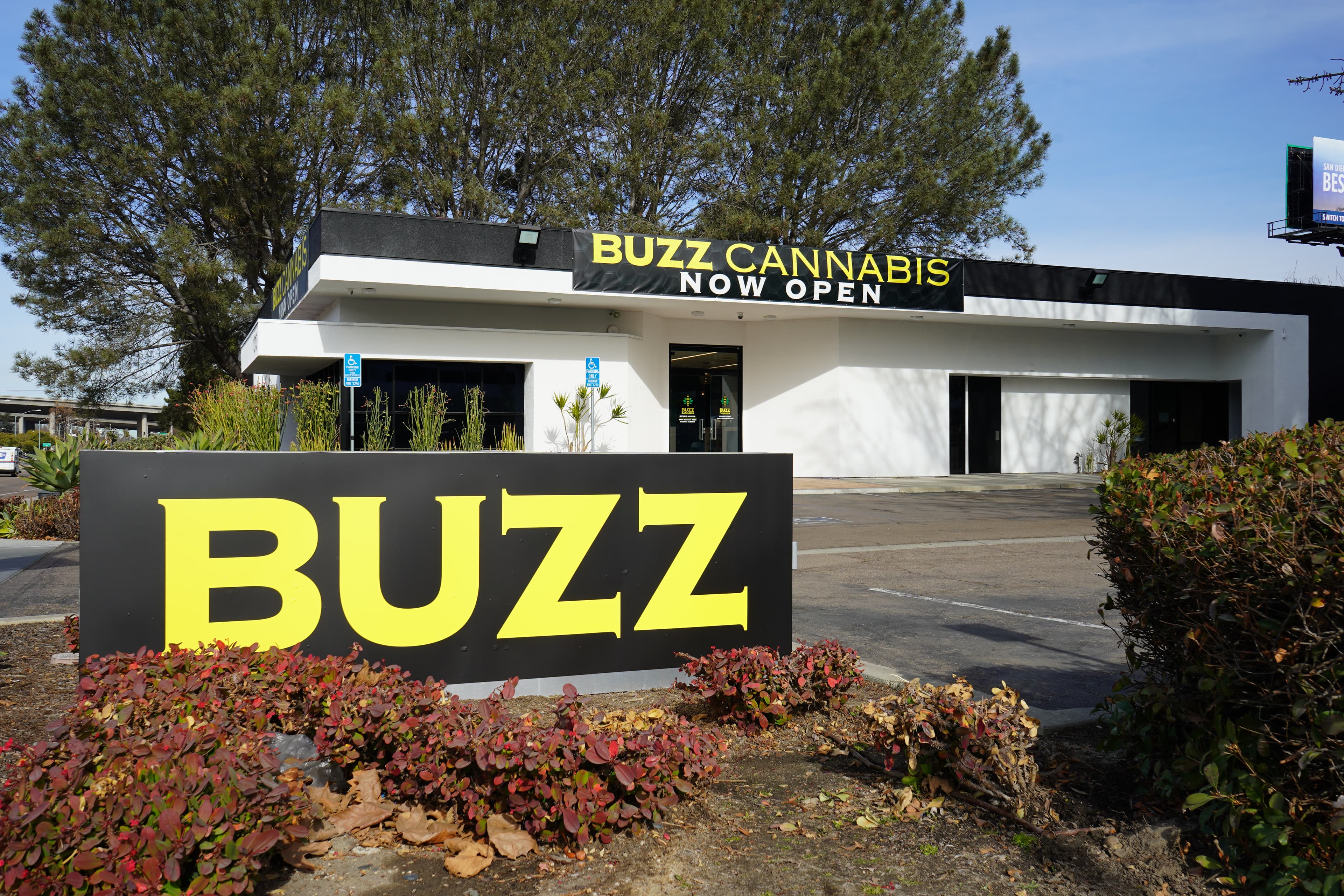 Sorrento Valley - Buzz Cannabis